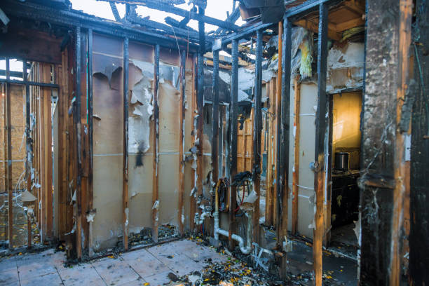 Professional Soot Cleanup technician working in Shorewood-Tower Hills-Harbert, MI
